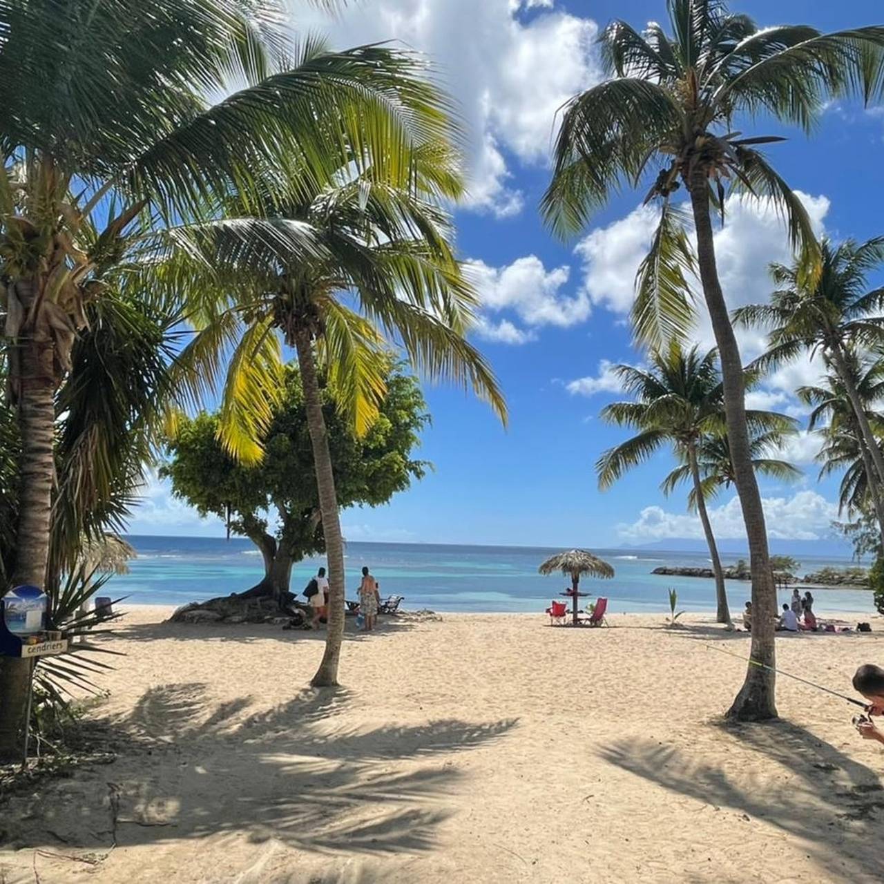 Ganzes Studio, Gemütliches Studio in Saint-François - 21 m² mit Balkon und Pool in Saint-François, Guadeloupe
