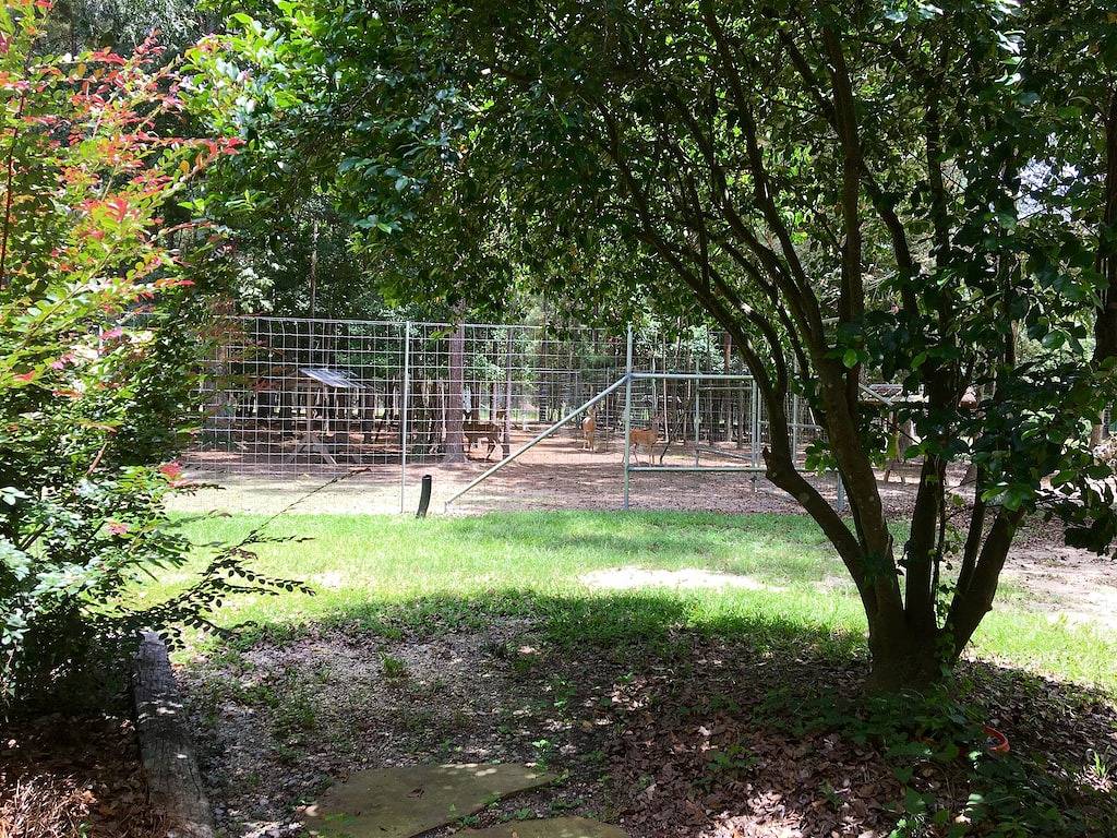 Abgelegene 3-Zimmer-Hütte auf dem Bauernhof in St. Tammany Parish