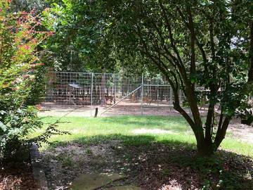 Log Cabin for 8 Guests in Louisiana, USA, Picture 4