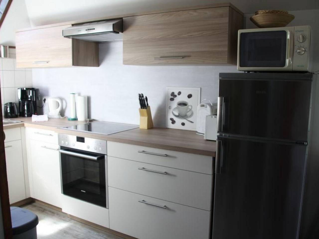 Elster in Silbersee, Frielendorf