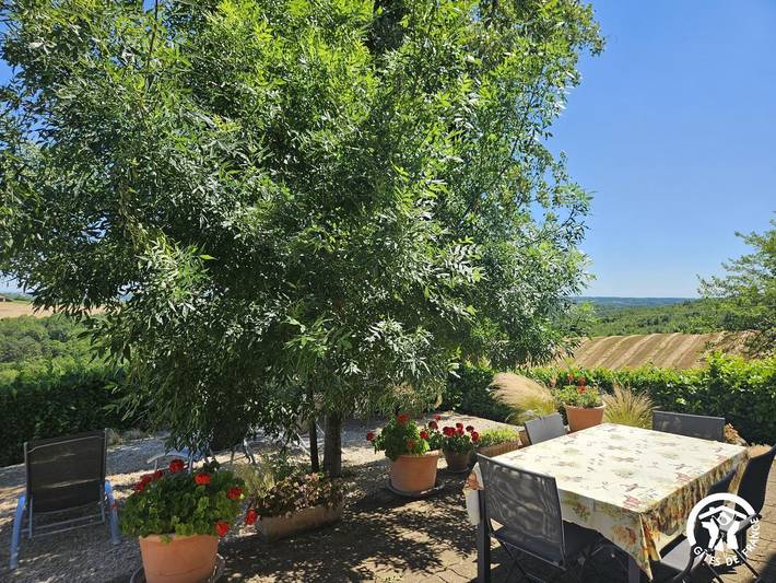 Gîte pour 6 personnes, avec terrasse, animaux acceptés dans Forêt domaniale de Grésigne - 4