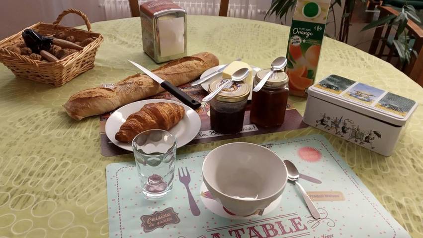 Chambre d’hôte pour 2 personnes, avec terrasse et jardin à Toulouse - 3