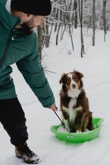 Villa pour 10 Personnes dans Morin Heights, Québec, Photo 4