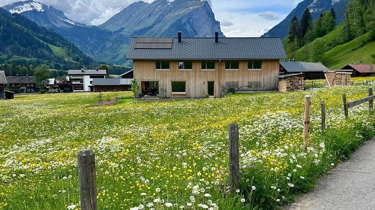 Ganze Ferienwohnung, Ferienwohnung für 4 Personen (60 m²) in Schoppernau in Schoppernau, Bregenzerwald