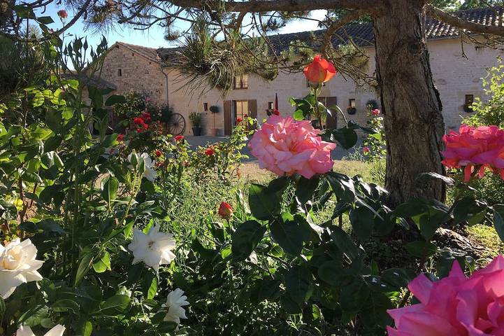 Gîte pour 8 personnes, avec Jardin et Piscine à Sauzé-Vaussais