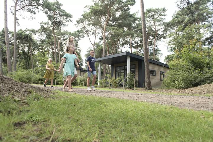 Appartement voor 6 personen, met zwembad, met huisdier in Hardenberg