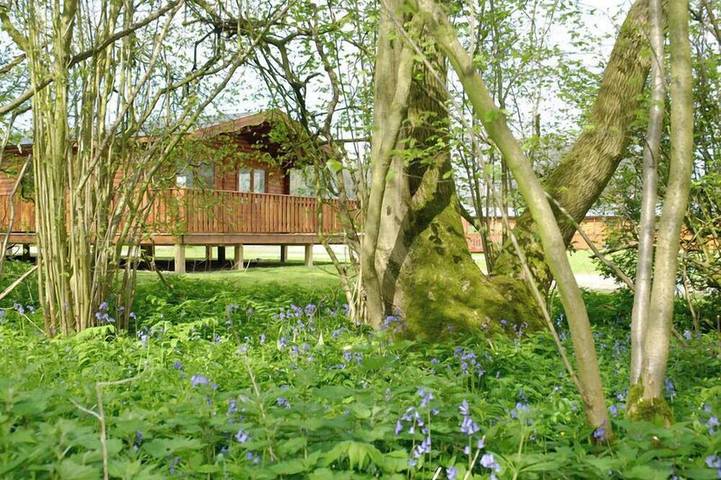 Lodge for 4 people, with garden - 1