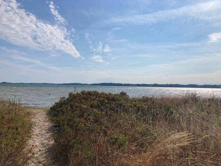 Ferienhaus für 8 Personen, mit Terrasse in Skarrev - 4