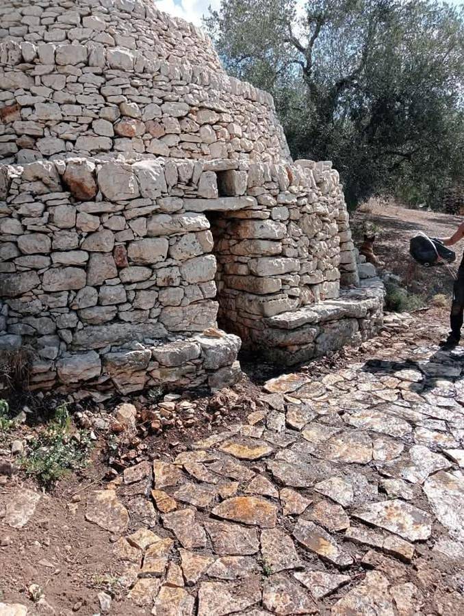 Gîte pour 4 personnes, avec terrasse ainsi que jardin et vue, animaux acceptés à Corato - 2