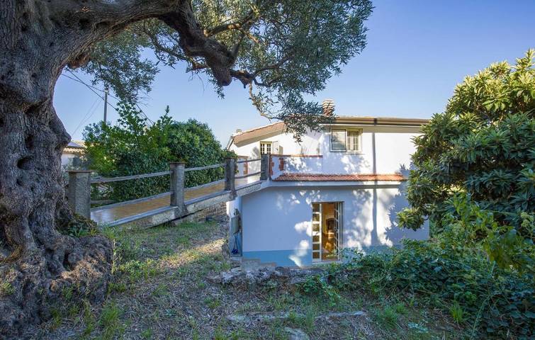 Casa vacanza per 9 persone, con animali domestici - 1