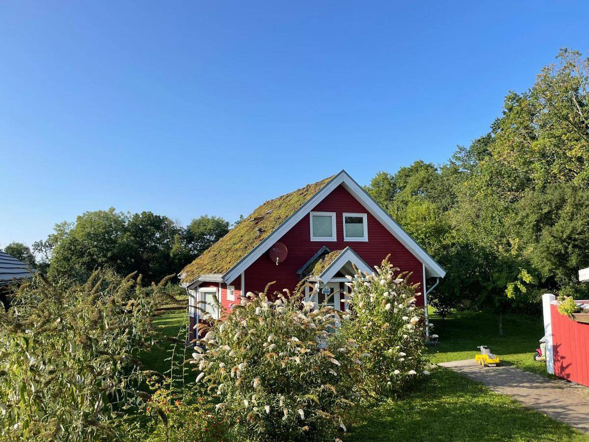 Norweger Haus am Tollensesee in Tollensesee, Groß Nemerow