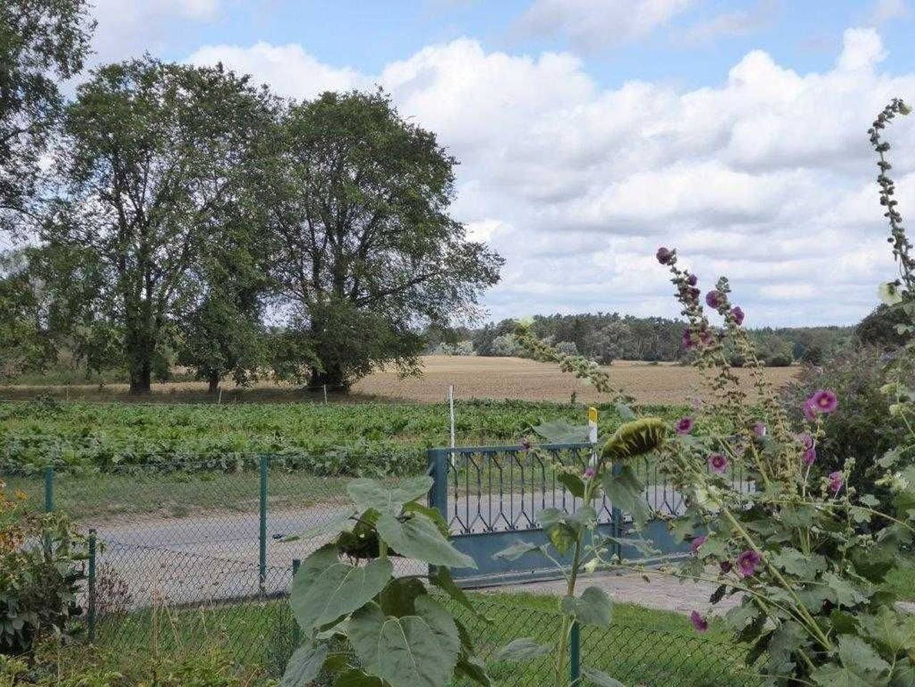 Ganze Ferienwohnung, Ferienwohnung Mooskoppel in Feldberger Seenlandschaft, Mecklenburg-Strelitz