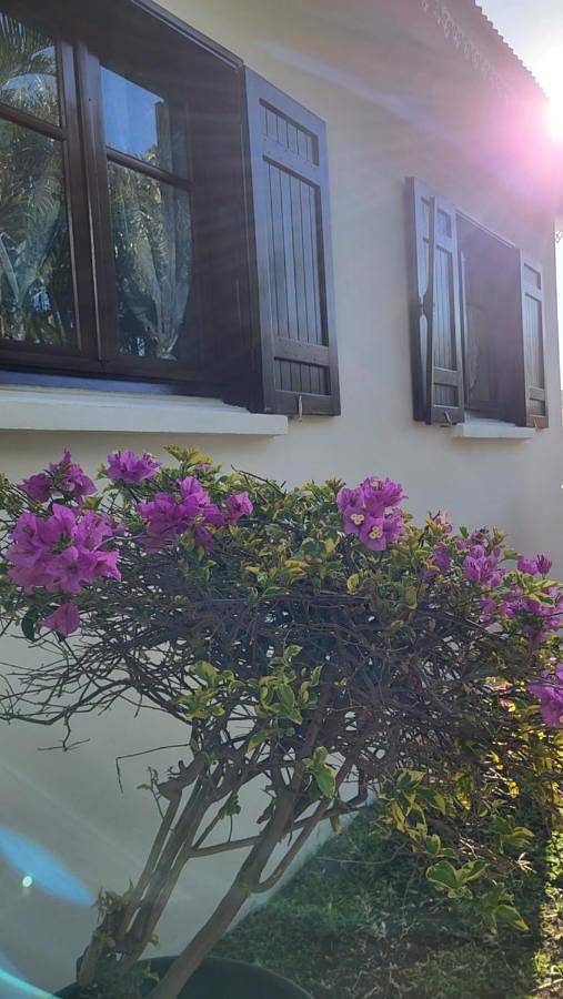 Location de vacances pour 6 personnes, avec jardin à Petite-Île - 3