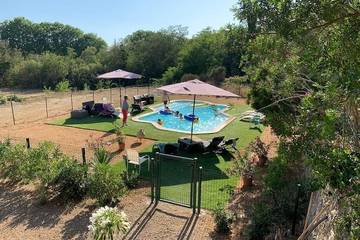 Gîte pour 6 personnes, avec jacuzzi ainsi que jardin et piscine à Mirepeisset