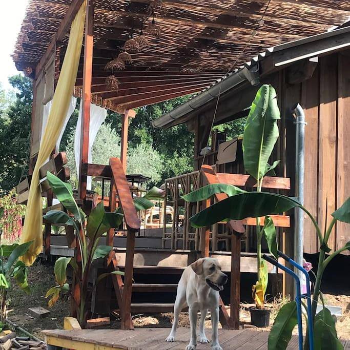 Three-Bedroom Villa in Morcenx-la-Nouvelle, Landes