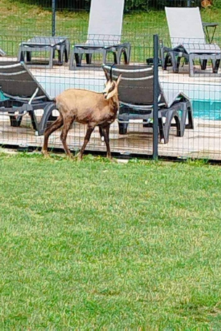 Hütte für 3 Personen, mit Terrasse und Ausblick sowie Pool im Jura - 2