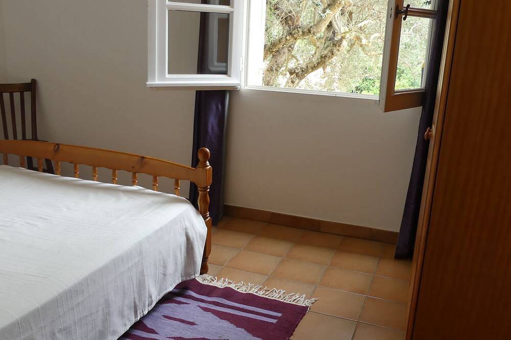 Ganze Wohnung, Ground floor apartment 50m2 with terrace in intimate shady park, swimming pool 12x4 m in Piolenc, Vaucluse
