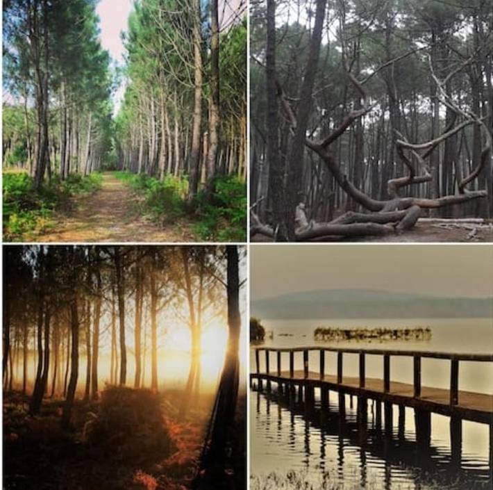 Gîte pour 2 personnes, avec jardin et vue à Onesse-Laharie - 2