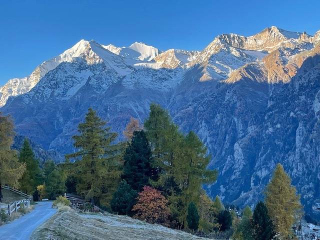 Ganze Ferienwohnung, Veilchen - 4-Bettwohnung 1441 in Grächen, Walliser Alpen