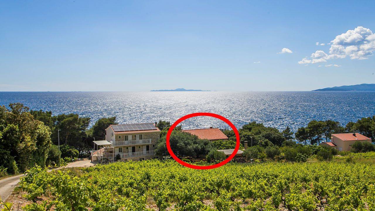 Ganze Ferienwohnung, Ferienwohnung für 8 Personen (100 m²) in Borak in Potomje, Dubrovnik-Neretva