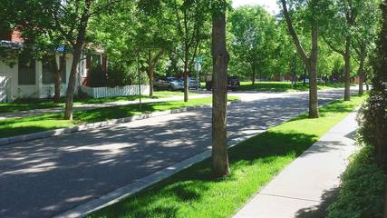 Bed And Breakfasts for 2 Guests in Longmont, Colorado, Picture 4