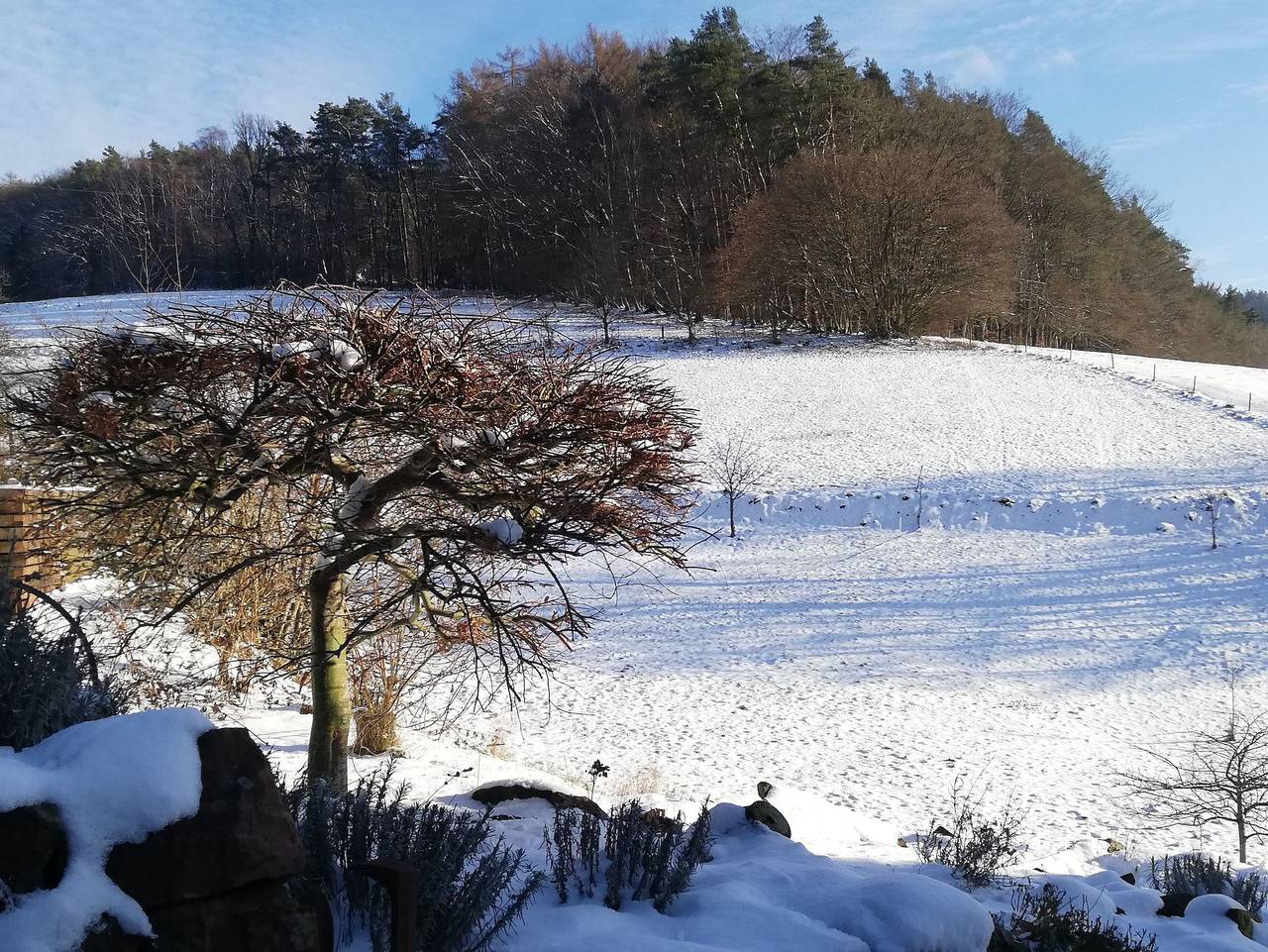 Ganze Ferienwohnung, Ferienwohnung Traumblick - Ferienwohnung Traumblick in Beerfelden, Odenwaldkreis