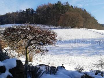 Bauernhof für 4 Personen in Oberzent, Odenwald, Bild 3