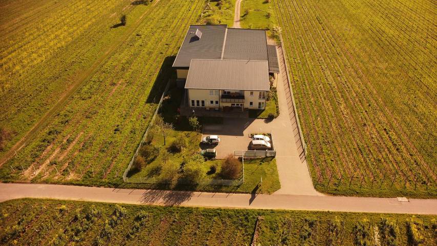 Ferienwohnung für 2 Personen, mit Terrasse und Garten in Hambach (Neustadt) - 2