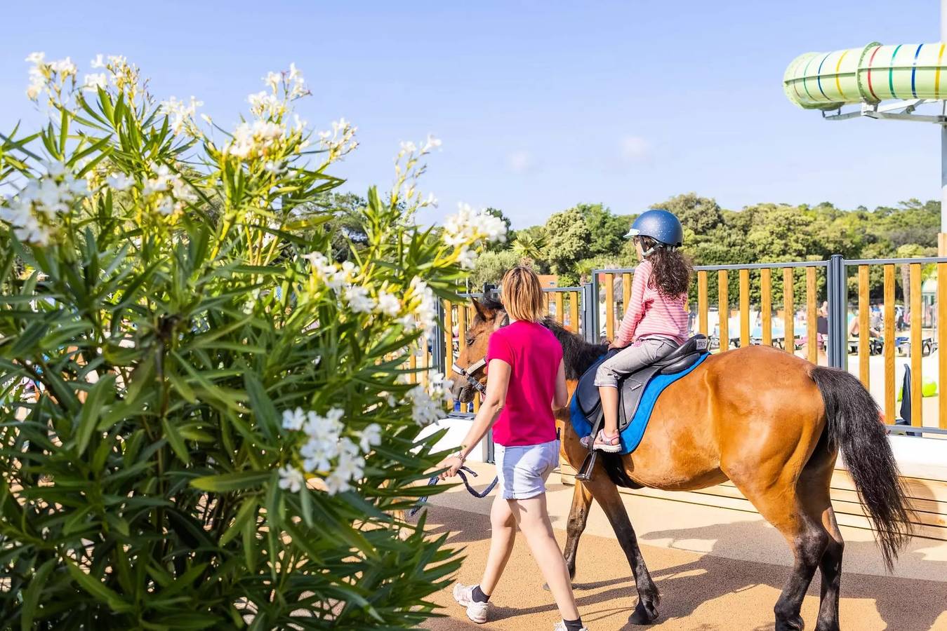 Cottage Sélénia Classic 3 Pièces 4 Personnes in Les Mathes, Côte de Beauté