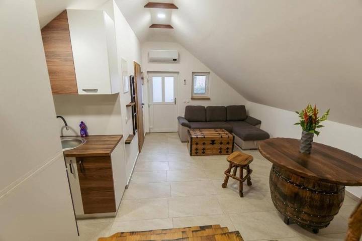 Gîte pour 4 personnes, avec vue et jardin dans Ormož - 3