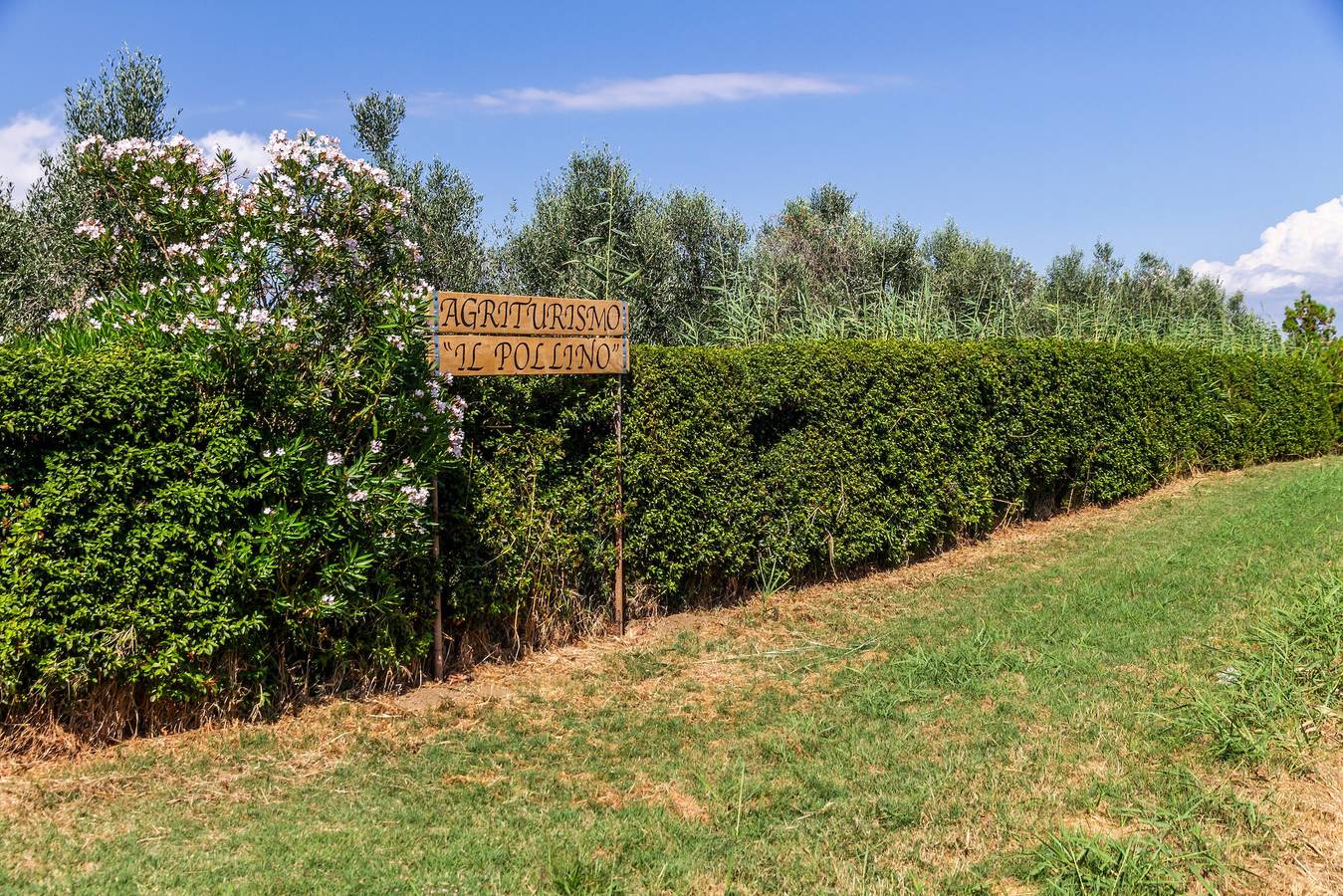 Ganze Wohnung, Apartment 'Lavanda' mit privater Terrasse, Wlan und Klimaanlage in Grosseto, Grosseto Provinz
