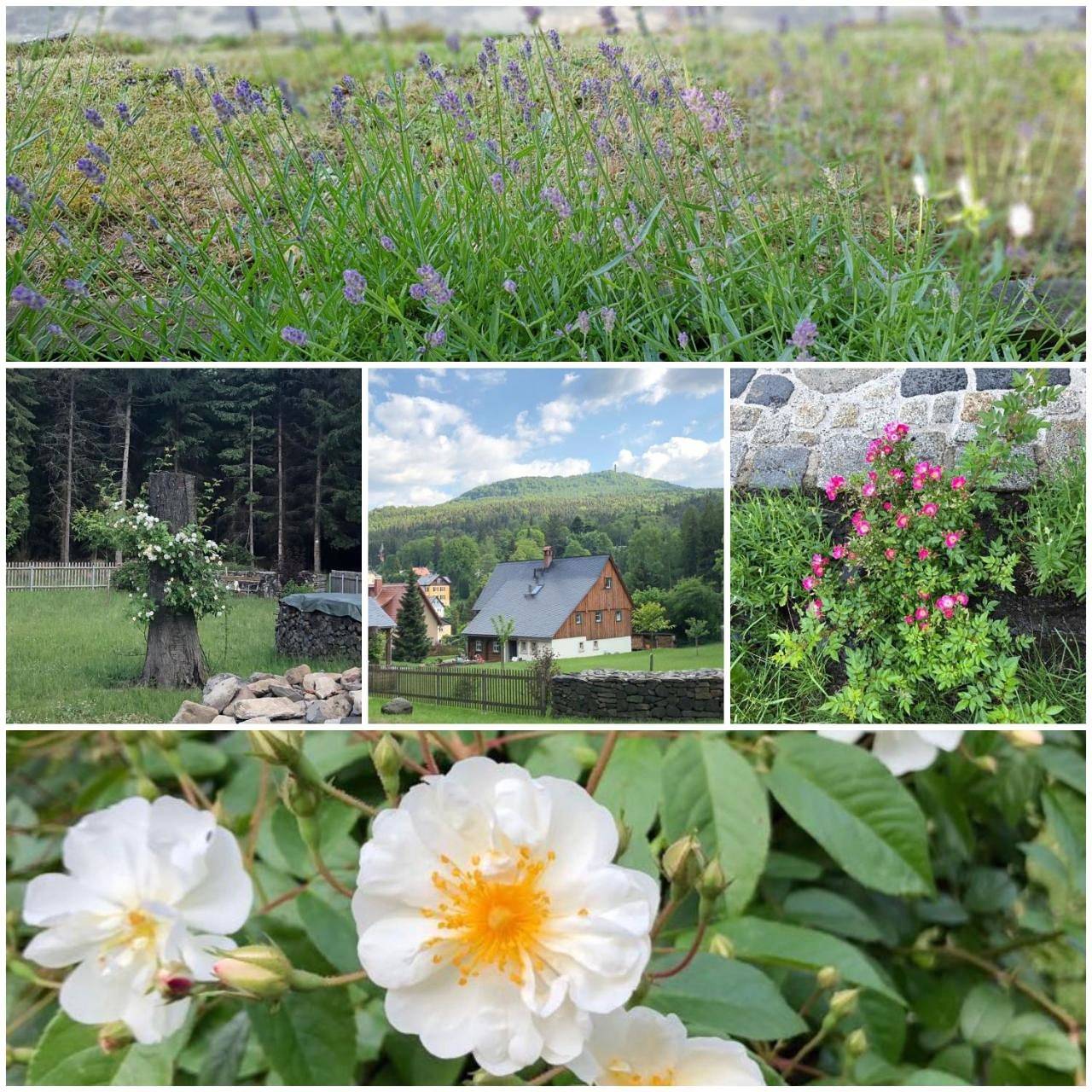 Holiday Home in Oybin, Zittauer Gebirge