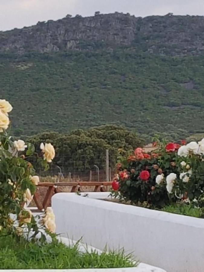 Finca La Rinconada in Mérida, Provincia de Badajoz