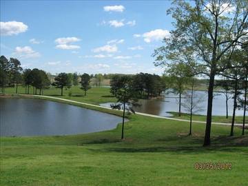 Cabin for 4 Guests in Mississippi, USA, Picture 1