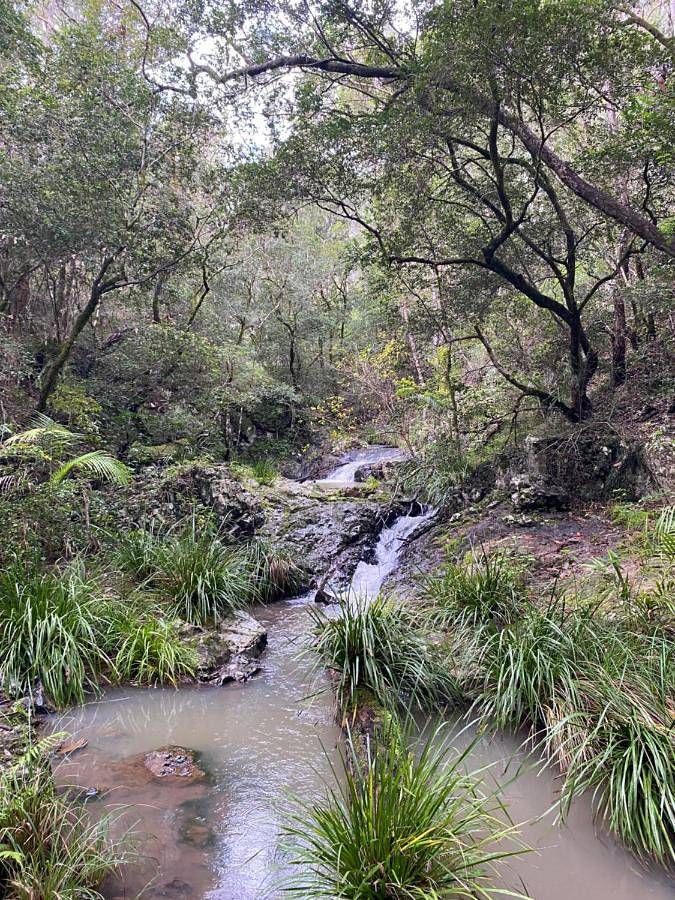Camping für 2 Personen, mit Garten und Ausblick, mit Haustier in Australien