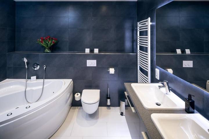 Ferienhaus für 6 Personen, mit Sauna und Garten in Altstadt (Dresden) - 4