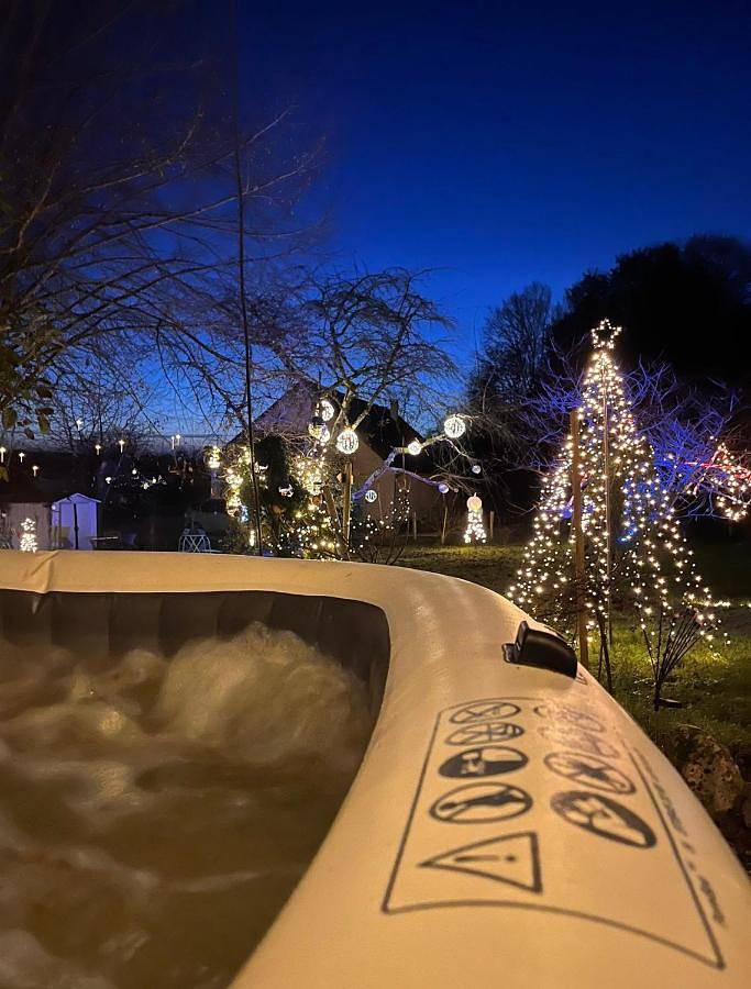 Location de vacances pour 4 personnes, avec piscine ainsi que jardin et jacuzzi, adapté aux familles à Chouzy-sur-Cisse - 2