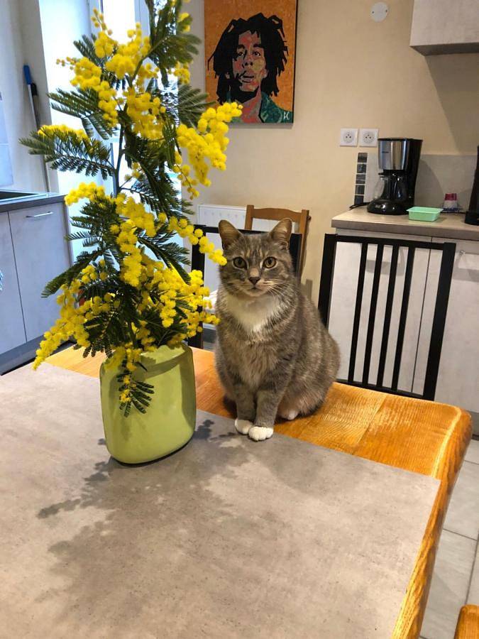 Gîte pour 2 personnes, avec vue à Loriol-sur-Drôme - 3