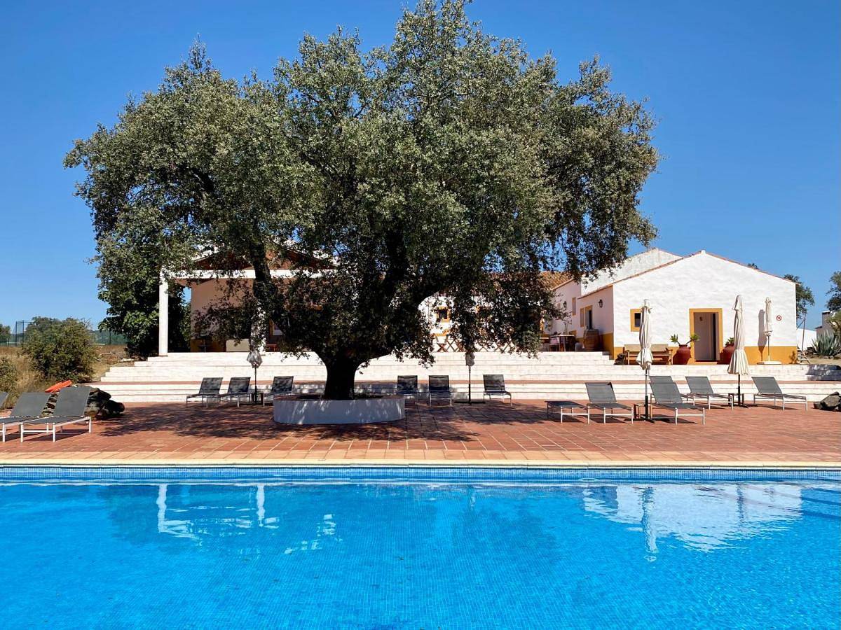 Quinta dos Amarelos in Monforte, Distrito de Portalegre