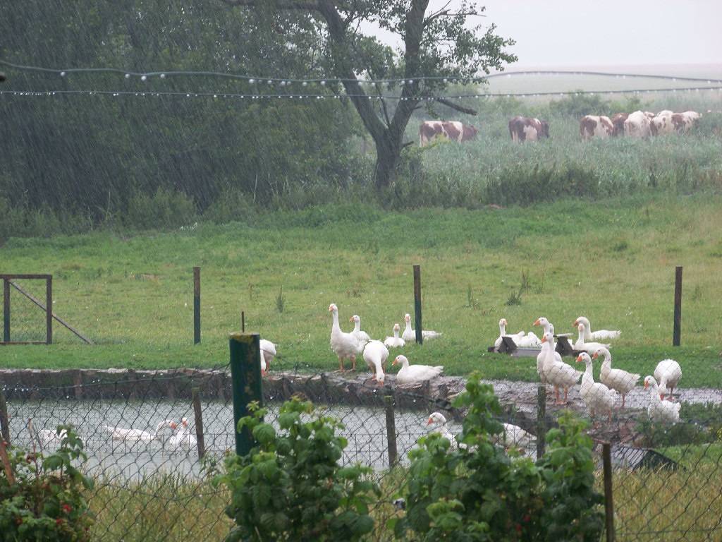 Pörksenhof - Jule in Emmelsbüll-Horsbüll, Nordfriesland