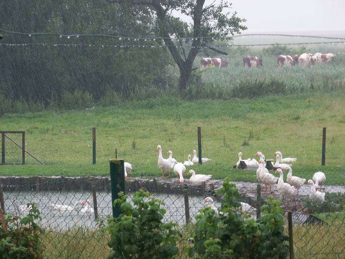 Pörksenhof - Ute in Emmelsbüll-Horsbüll, Nordfriesland