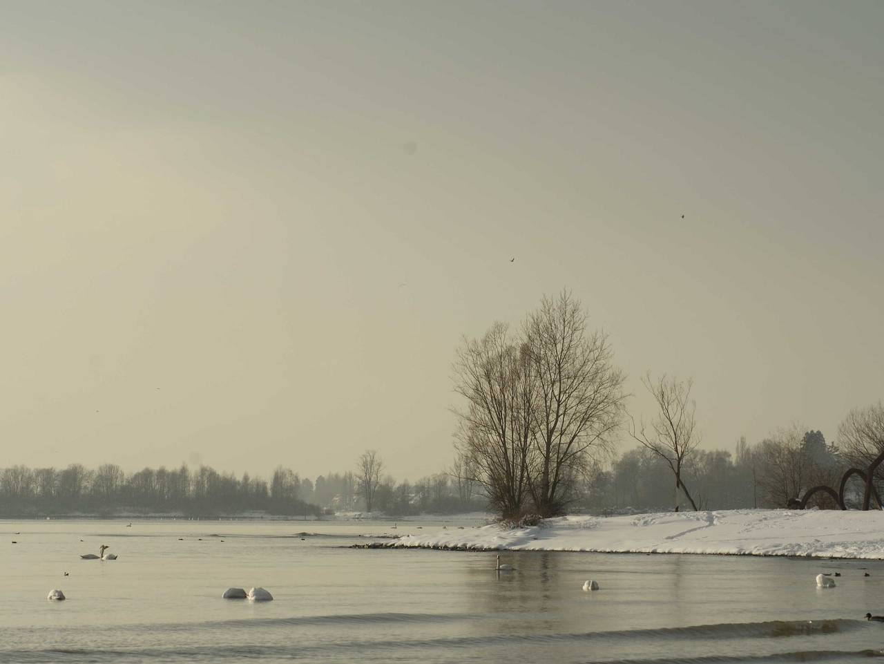 Ganze Ferienwohnung, Ferienwohnung Pfänder in Friedrichshafen, Region Bodensee-Oberschwaben