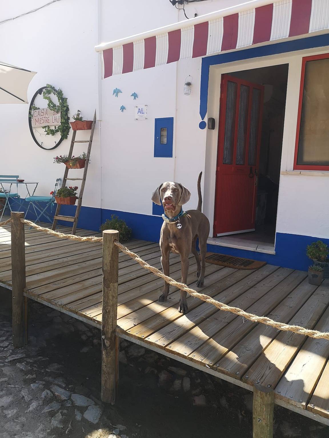 Casa Do Mestre Lau – Au cœur de l’Alentejo in Terena (São Pedro), District de Évora