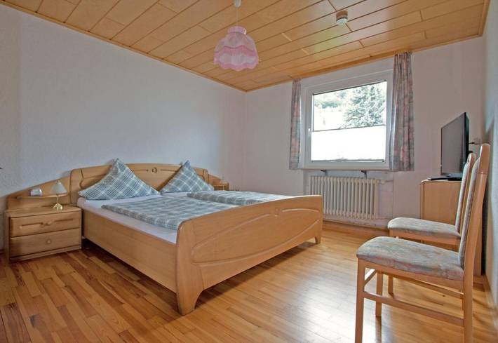 Ferienwohnung für 3 Personen, mit Balkon und Terrasse sowie Garten und Ausblick in Hambach (Neustadt) - 4