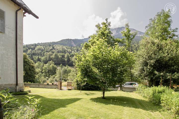 Arrosoir Et Soldanelle in Planay, Massif de la Vanoise