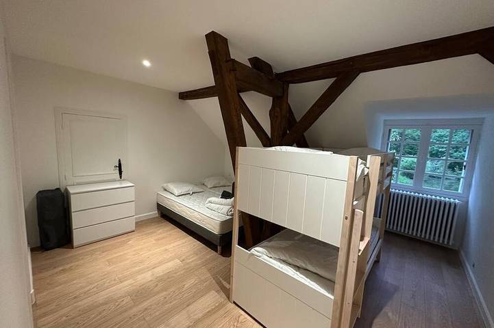 Location de vacances pour 25 personnes, avec piscine à Chevillon-sur-Huillard - 3