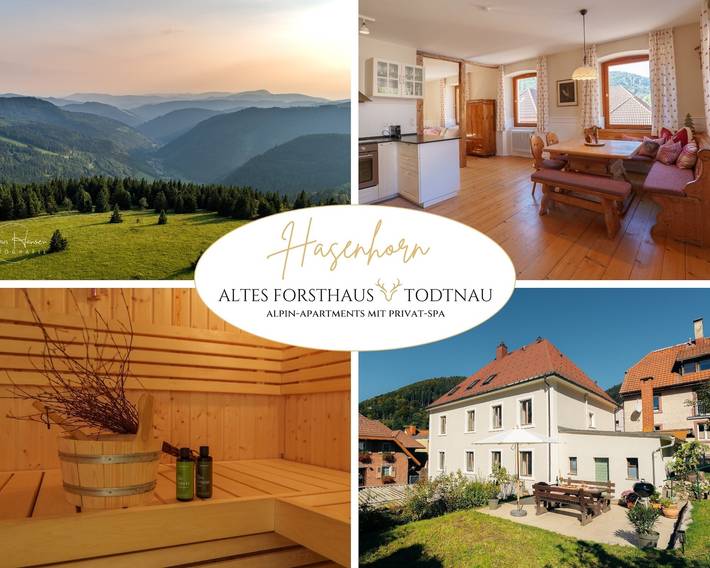 Vakantiewoning voor 10 personen, met Tuin en Sauna in Todtnau