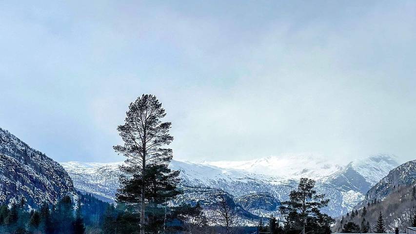 Ferielejlighed for 6 personer, med terrasse i Hemsedal