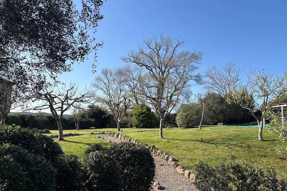 Villa 5 minutes from sea, swimming pool and olive trees in Capalbio countryside in Capalbio, Grosseto Provinz