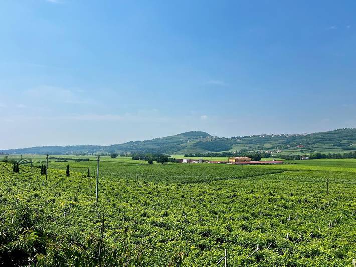 Hel lägenhet, 45 m² Room with Private Bathroom – Up to 2 Guests in Illasi, Verona provins
